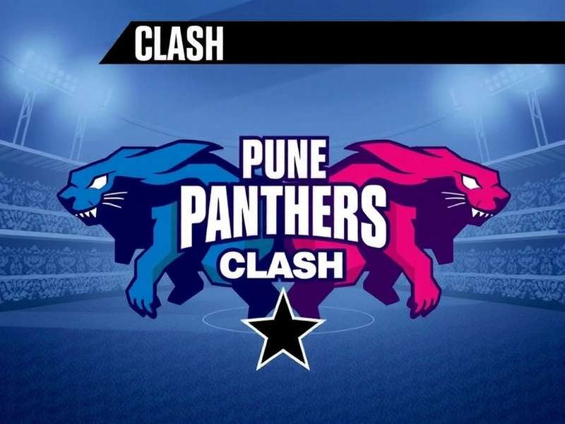 Pune Panthers Clash Pune Panthers Clash