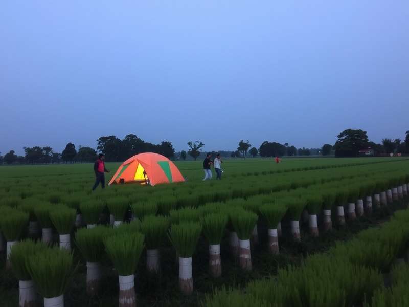 Ludo King game screenshot