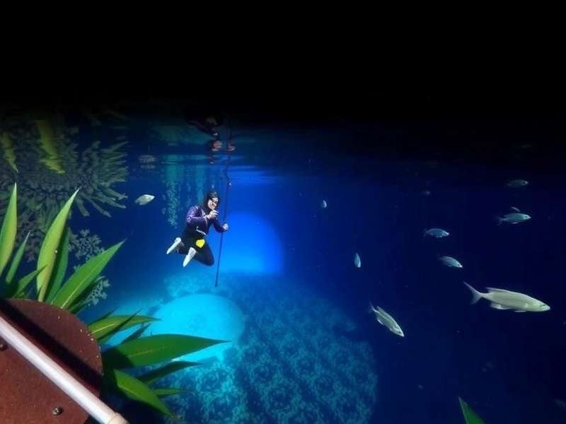 Ludo King game screenshot