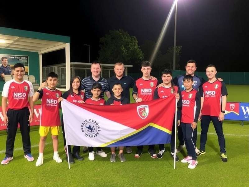 Ludo King game screenshot