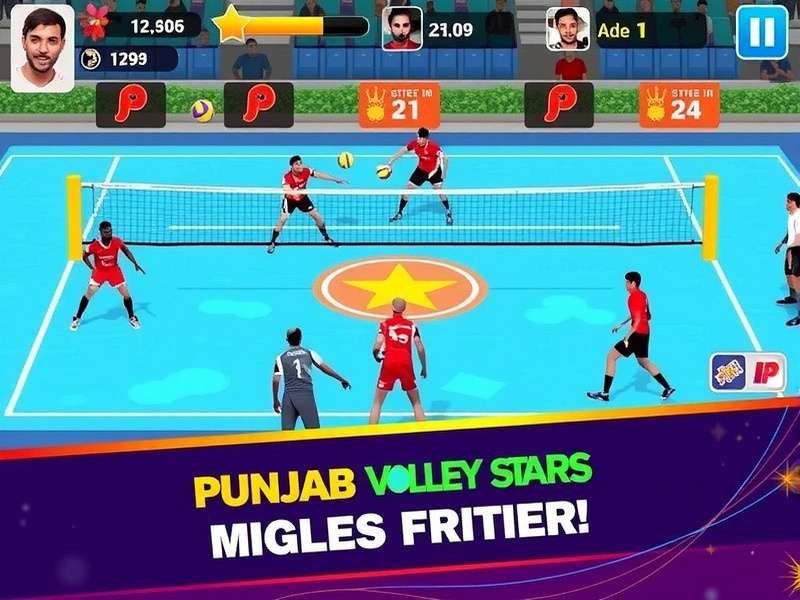 Punjab Volley Stars