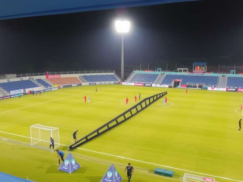 Ludo King game screenshot