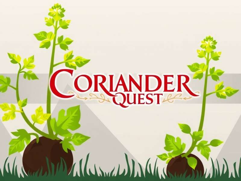 Coriander Quest